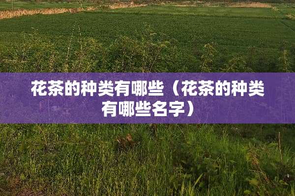 花茶的种类有哪些（花茶的种类有哪些名字）