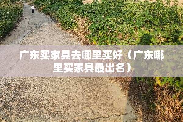 广东买家具去哪里买好（广东哪里买家具最出名）