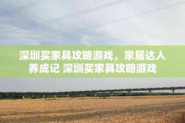 深圳买家具攻略游戏，家居达人养成记 深圳买家具攻略游戏