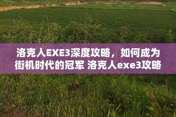 洛克人EXE3深度攻略，如何成为街机时代的冠军 洛克人exe3攻略