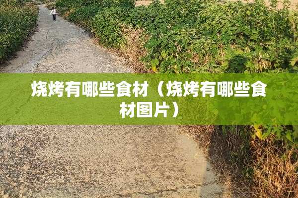 烧烤有哪些食材（烧烤有哪些食材图片）