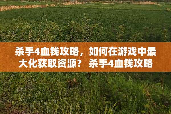 **4血钱攻略，如何在游戏中最大化获取资源？**4血钱攻略