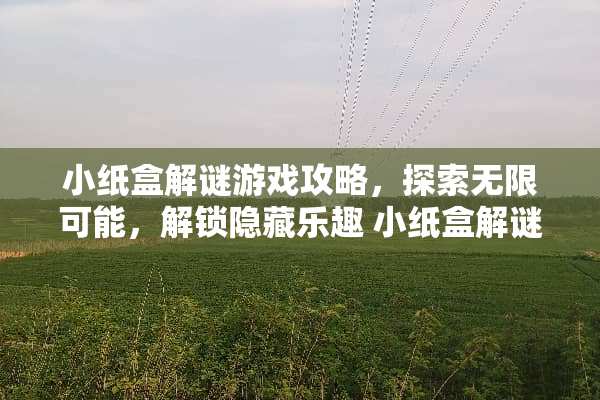 小纸盒解谜游戏攻略，探索无限可能，解锁隐藏乐趣 小纸盒解谜游戏攻略