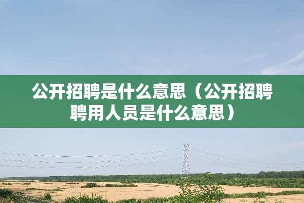 公开招聘是什么意思（公开招聘聘用人员是什么意思）