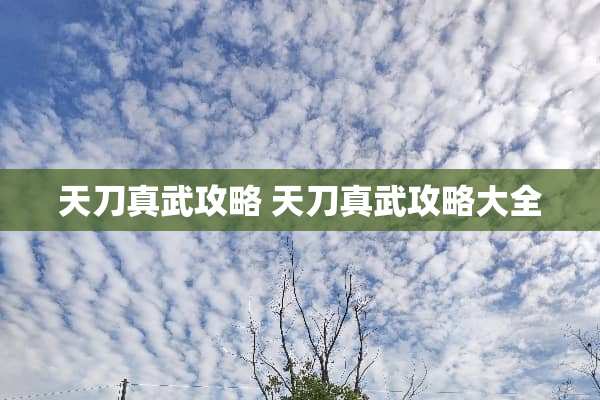 天刀真武攻略 天刀真武攻略大全