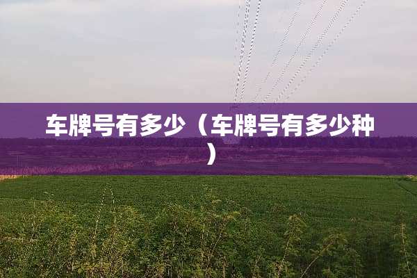 ***有多少（***有多少种）