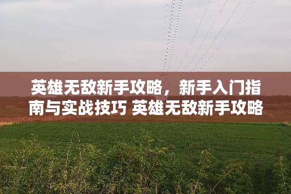 英雄无敌新手攻略，新手入门指南与实战技巧 英雄无敌新手攻略