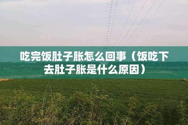 吃完饭肚子胀怎么回事（饭吃下去肚子胀是什么原因）