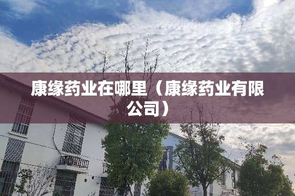 康缘药业在哪里（康缘药业有限公司）