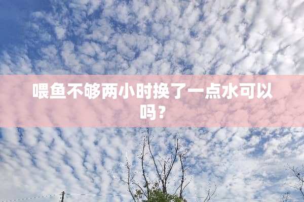 喂鱼不够两小时换了一点水可以吗？
