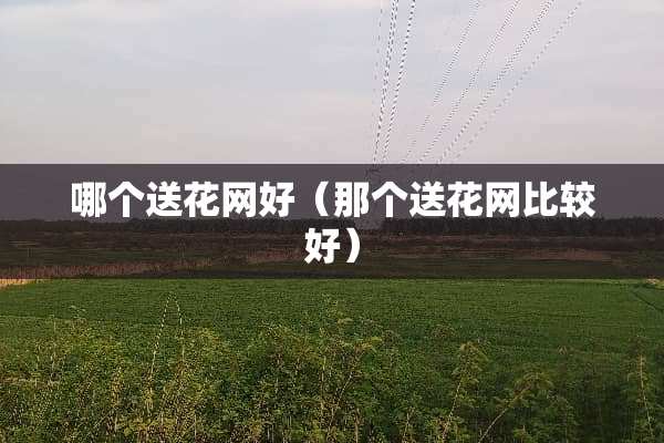 哪个送花网好（那个送花网比较好）