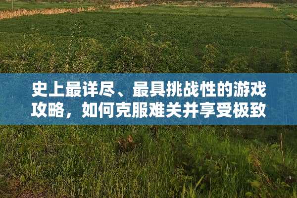 史上最详尽、最具挑战性的游戏攻略，如何克服难关并享受极致体验 史上最**的游戏攻略