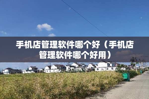 手机店管理软件哪个好（手机店管理软件哪个好用）