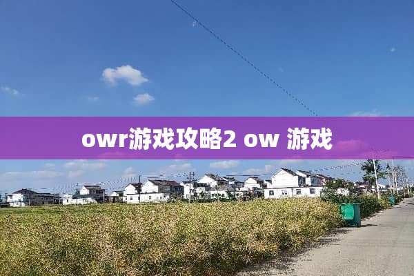 owr游戏攻略2 ow 游戏