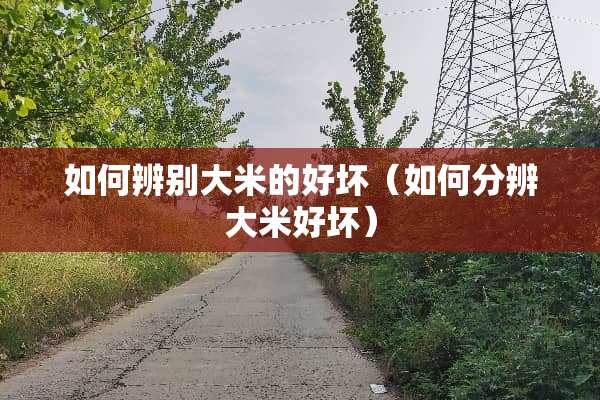 如何辨别大米的好坏（如何分辨大米好坏）