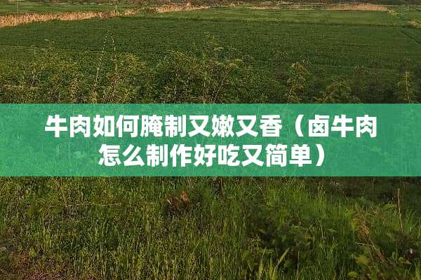 牛肉如何腌制又嫩又香（卤牛肉怎么制作好吃又简单）