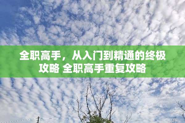 **高手，从入门到精通的终极攻略**高手重复攻略