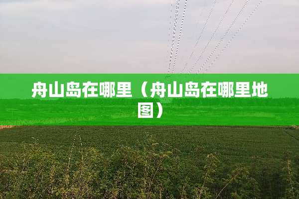 舟山岛在哪里（舟山岛在哪里地图）