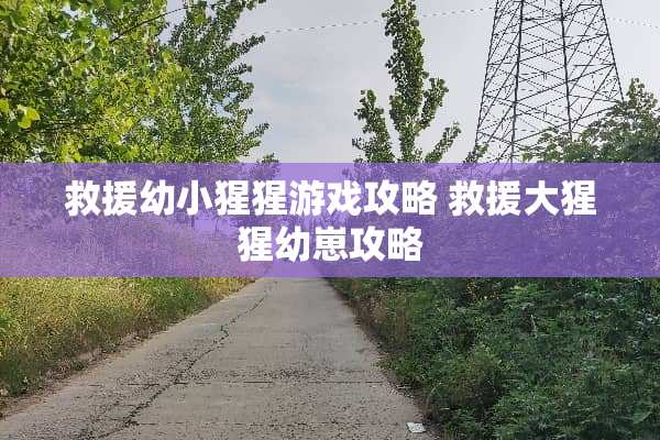 救援幼小猩猩游戏攻略 救援大猩猩幼崽攻略