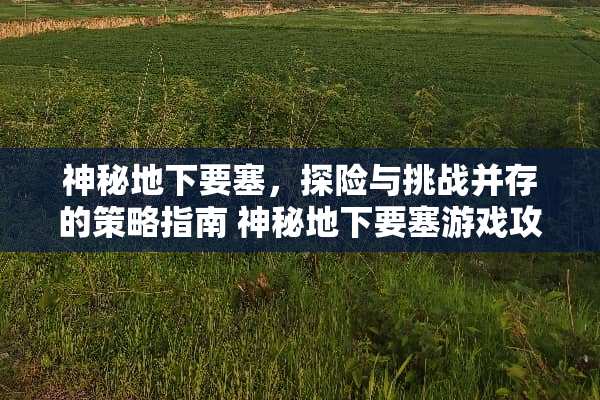 神秘**要塞，探险与挑战并存的策略指南 神秘**要塞游戏攻略