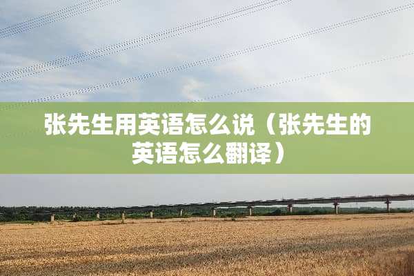 张先生用英语怎么说（张先生的英语怎么翻译）