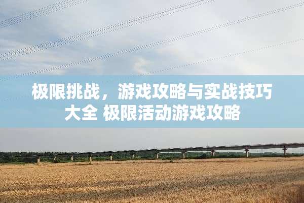 极限挑战，游戏攻略与实战技巧大全 极限活动游戏攻略