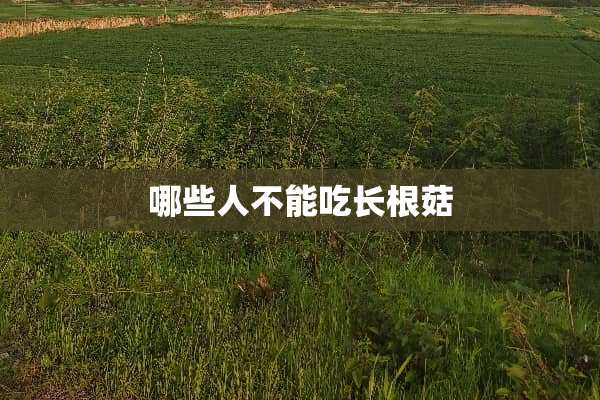 哪些人不能吃长根菇