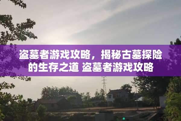 盗墓者游戏攻略，揭秘古墓探险的生存之道 盗墓者游戏攻略