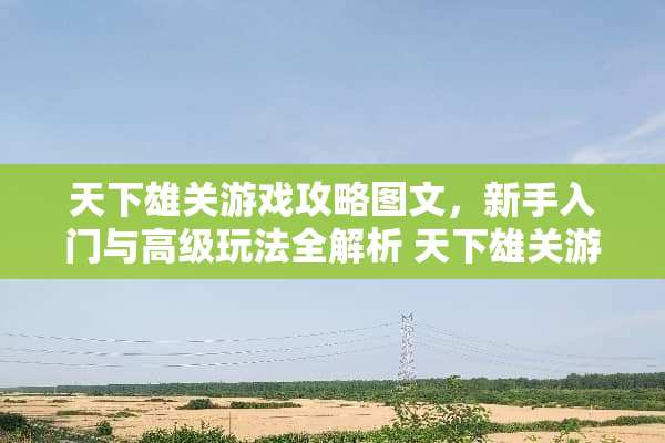 天下雄关游戏攻略图文，新手入门与高级玩法全解析 天下雄关游戏攻略图文
