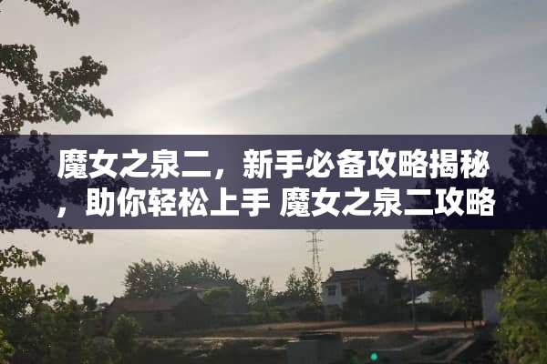 魔女之泉二，新手必备攻略揭秘，助你轻松上手 魔女之泉二攻略