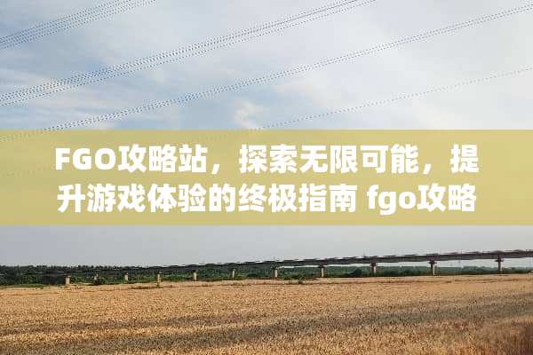 FGO攻略站，探索无限可能，提升游戏体验的终极指南 fgo攻略站