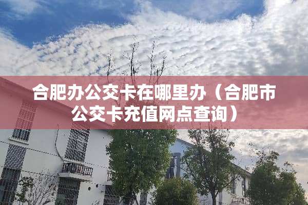 合肥办公交卡在哪里办（合肥市公交卡充值网点查询）