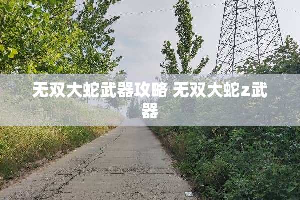 无双大蛇**攻略 无双大蛇z**