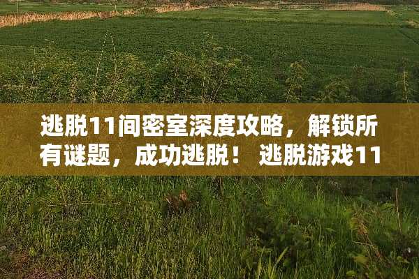 逃脱11间密室深度攻略，解锁所有谜题，成功逃脱！ 逃脱游戏11间密室攻略