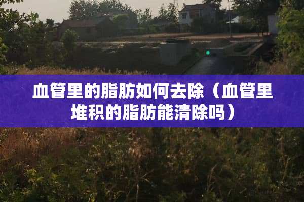 血管里的脂肪如何去除（血管里堆积的脂肪能清除吗）