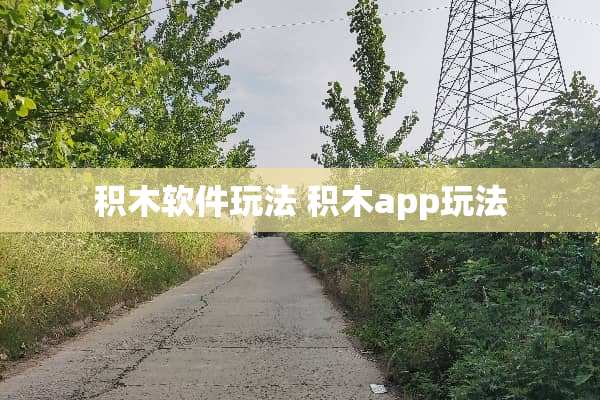 积木软件玩法 积木app玩法