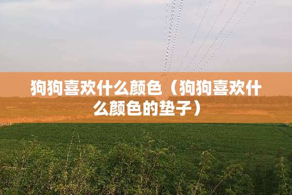 狗狗喜欢什么颜色（狗狗喜欢什么颜色的垫子）