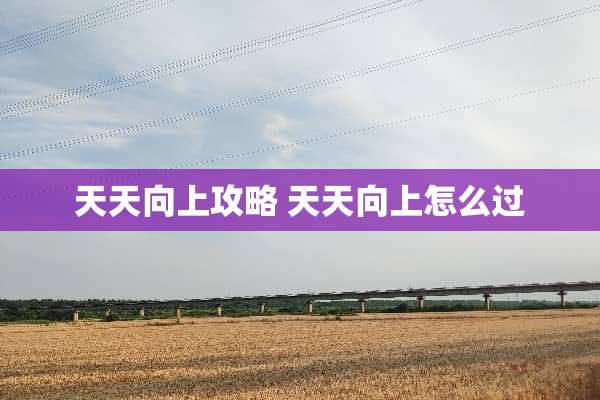 天天向上攻略 天天向上怎么过