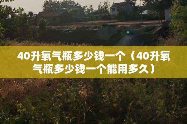 40升氧气瓶多少钱一个（40升氧气瓶多少钱一个能用多久）