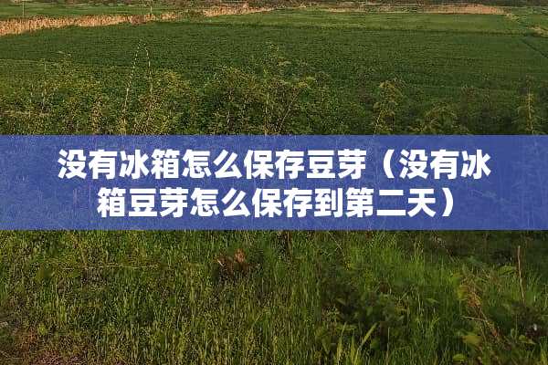 没有冰箱怎么保存豆芽（没有冰箱豆芽怎么保存到第二天）