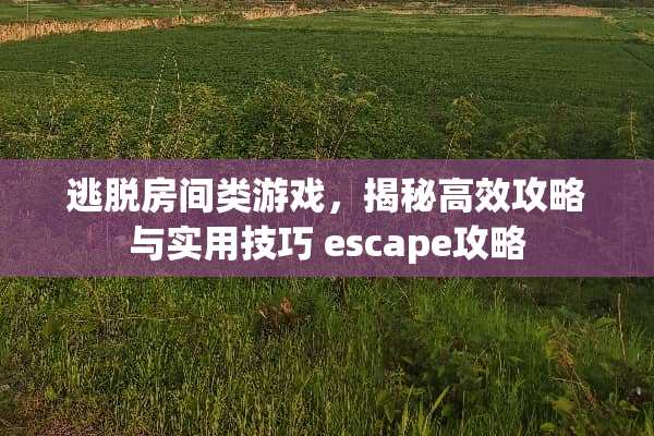 逃脱房间类游戏，揭秘高效攻略与实用技巧 escape攻略