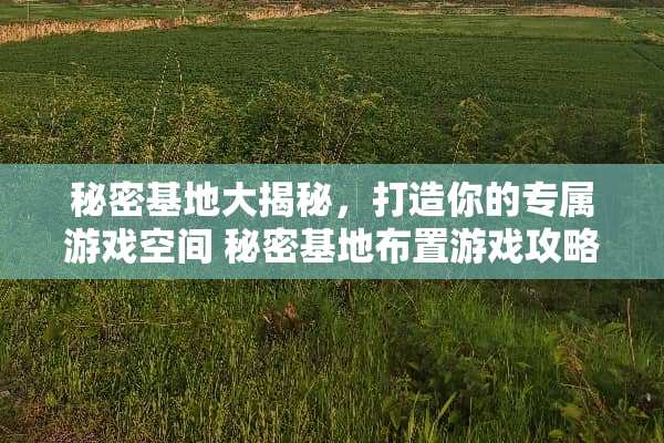 秘密基地大揭秘，打造你的专属游戏空间 秘密基地布置游戏攻略