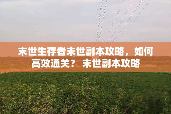 末世生存者末世副本攻略，如何高效通关？ 末世副本攻略