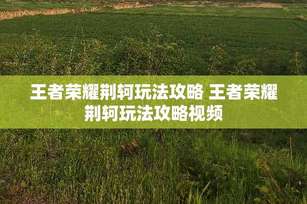 王者荣耀荆轲玩法攻略 王者荣耀荆轲玩法攻略视频