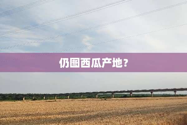 仍图西瓜产地？