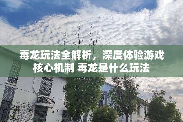 **玩法全解析，深度体验游戏核心机制**是什么玩法