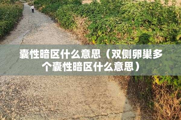 囊性暗区什么意思（双侧卵巢多个囊性暗区什么意思）