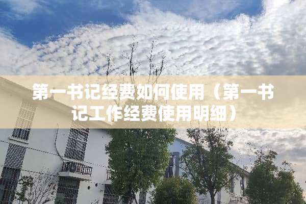 第一**经费如何使用（第一**工作经费使用明细）