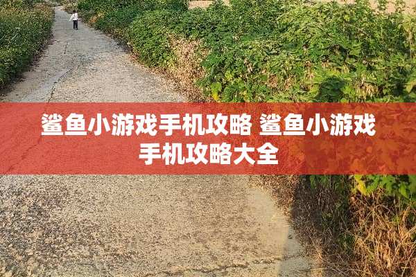 鲨鱼小游戏手机攻略 鲨鱼小游戏手机攻略大全