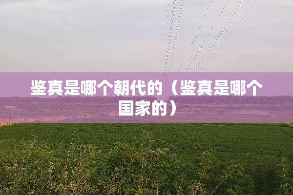 鉴真是哪个朝代的（鉴真是哪个国家的）